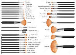 vecteur stock set of cosmetic brushes