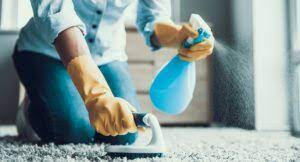 landlords charge for carpet cleaning