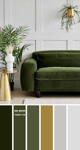 grey colour idea for living room