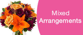 Flower Meanings By Type Name Color And Occasion The