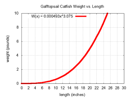 Gafftopsail Catfish Wikiwand