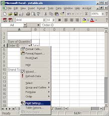 Microsoft Excel 2008 Pivot Table Tutorial For Mac Using The