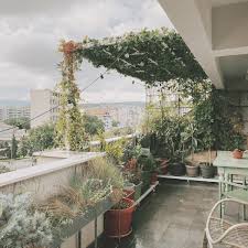 Vertical Gardening For Balconies