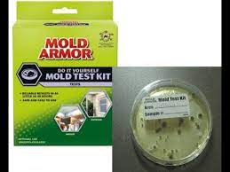 diy home mold test kit review you