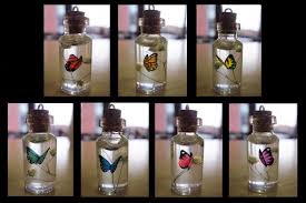 Bottle Charm Ideas Musely