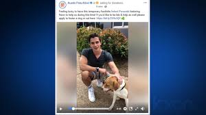Cats and more cats available for adoption at austin animal center, shared by the volunteers who love them! Antoni Porowski From Queer Eye Fosters Austin Pets Alive Dog Kxan Austin