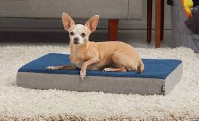 what are the best dog beds for injuries