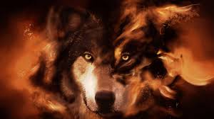 wolf wallpapers 3d wallpaper cave