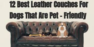 Genuine Leather Couches