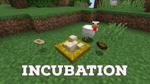 To make a custom spawn egg, you have to add the entitytag to a spawn egg. Incubation Mod 1 16 5 1 15 2 1 14 4 Nests Eggs Minecraft