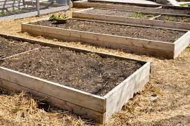 building raised beds from wood to grow