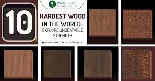 10 hardest wood in the world explore