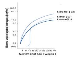 Estriol Review Clinical Applications And Potential