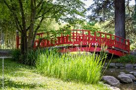 Japanese Garden Pond Stock Photo