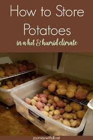 How To Potatoes In A Hot And