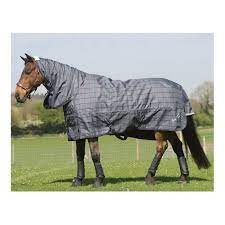 mark todd heavyweight combo turnout rug