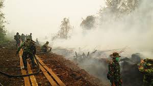 indonesia fires