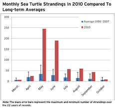 Sea Turtles By Conall Joyce Infographic