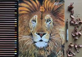 colored pencil lion drawing art amino