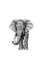 elephant wallpaper to your
