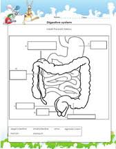 All body parts worksheets body parts. Science Worksheets For Grade 1