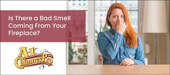 Stinky Fireplace Syndrome Causes And