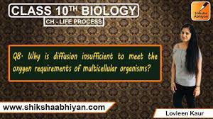Q8 Why is diffusion insufficient to meet the oxygen requirements of  multicellular organisms? - YouTube
