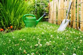 Lawn Mowing Safety Tips For Homeowners