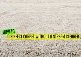 how to disinfect carpet without a steam