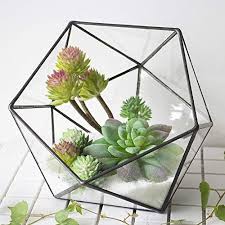 Geometric Glass Terrarium Container