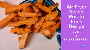 Set the timer for 20 minutes. Air Fryer Sweet Potato Fries Recipe Youtube