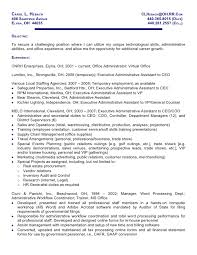 Resume Builder  CV writing   Resume Writing service for IT   Engg     Sample and Example Resume