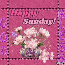 pink fl happy sunday gif pictures