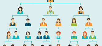 Importance Of Organizational Charts In The Workplace