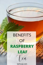 red raspberry leaf tea benefits for