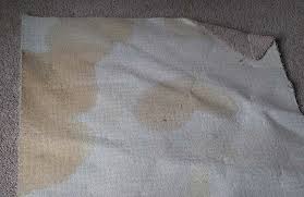pet urine carpet treatment hydro