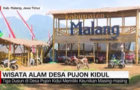 1.7 media untuk tempat hidup dalam kandang jangkrik; Belasan Daerah Ini Ubah Sawah Jadi Objek Wisata Kabupaten Malang Miliki Yang Terindah Malangtimes