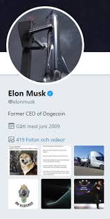 He also posted a news publication from the onion which reads bitcoin plunge reveals possible vulnerabilities in crazy. Former Ceo Of Dogecoin Elon Musk Dogecoin
