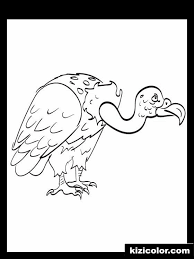 Find & download the most popular vulture coloring vectors on freepik free for commercial use high quality images made for creative projects. Vulture Free Print And Color Online