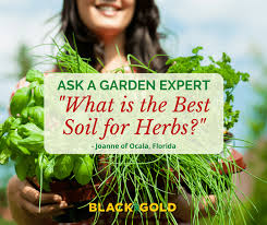 What Is The Best Soil For Herbs
