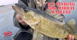 Ice Fishing For Midday Walleye Fish N