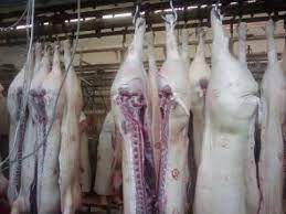 Carcasa porc - Preturi producatori, importatori - Bizoo.ro