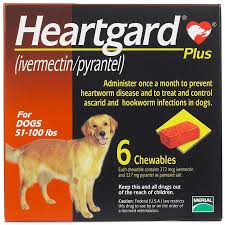Heartgard Plus Chewables For Dogs 51 100 Lbs 6 Month Supply Brown