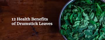 12 health benefits of drumstick leaves
