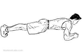 Plank Workoutlabs Exercise Guide