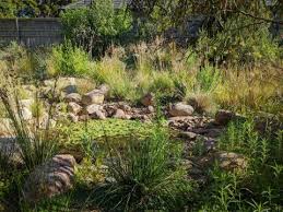 Indigenous Garden Design Natural