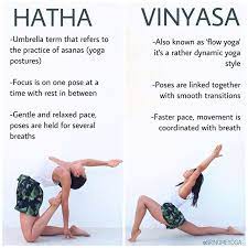 hatha yoga or vinyasa yoga which one