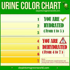 Urine Color Chart Dehydration Water Challenge Gallon