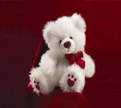 Download White teddy bear Wallpaper by ...