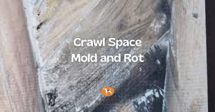 mold in the crawl e and its dangers